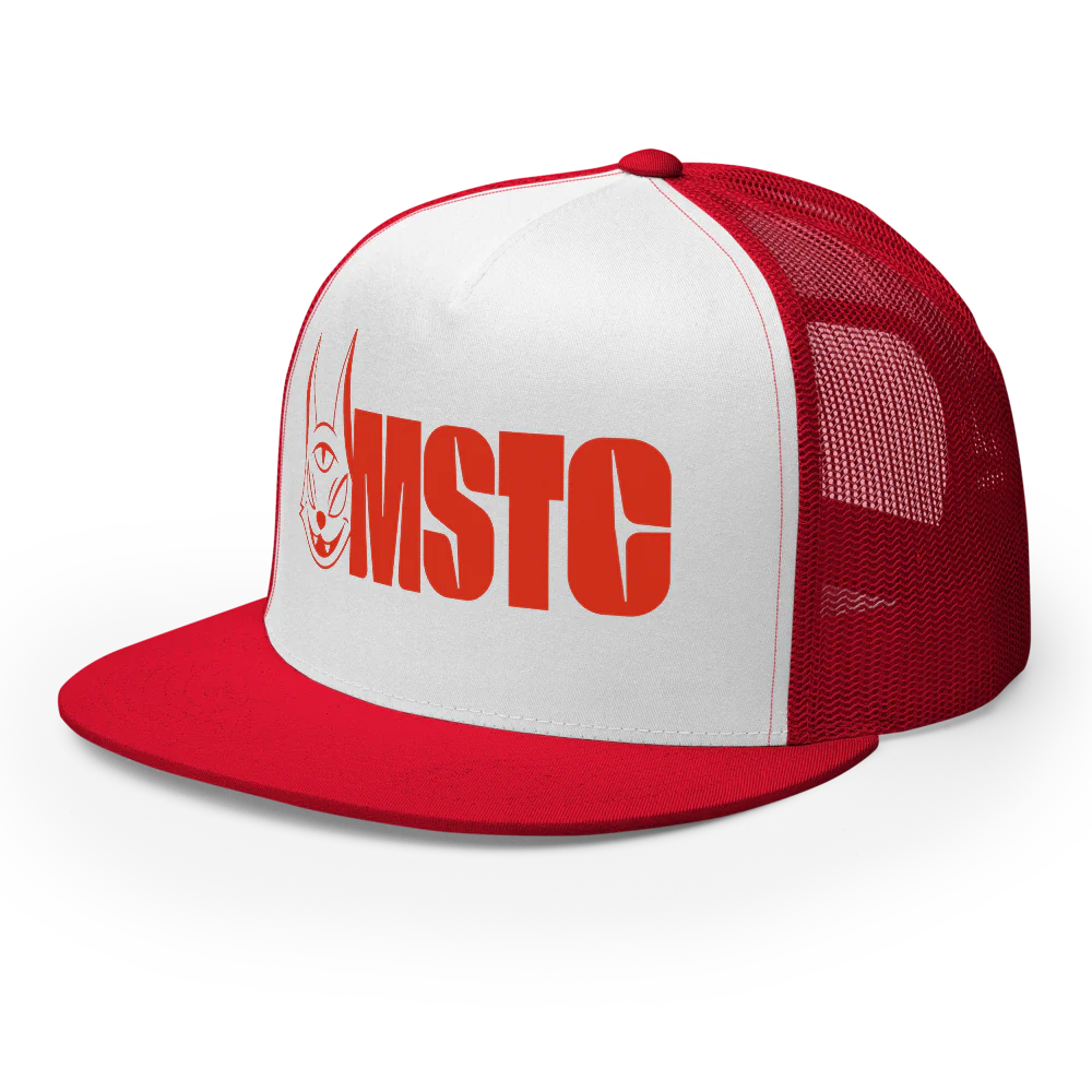 MSTCAP - Image 5